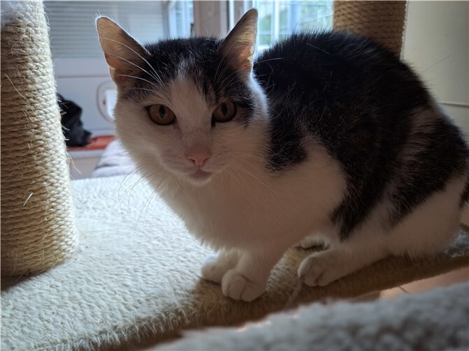 Lisbet. Fotos: privat