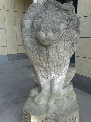 Löwe vor der Sparkasse auf dem Marktplatz.