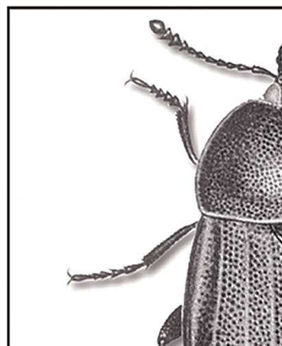 Logo des GEO-Tags. NABU