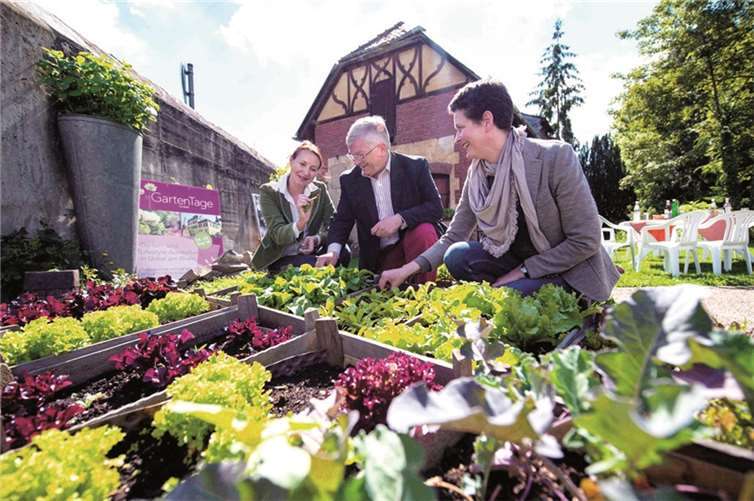 Lollo rosso und bianco sowie zahlreich andere Gemüsepflanzen konnten die Organisatorinnen dem Stadtchef bereits präsentieren. DL