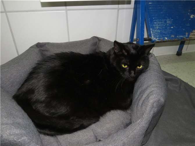 Lorchen. Fotos: privat