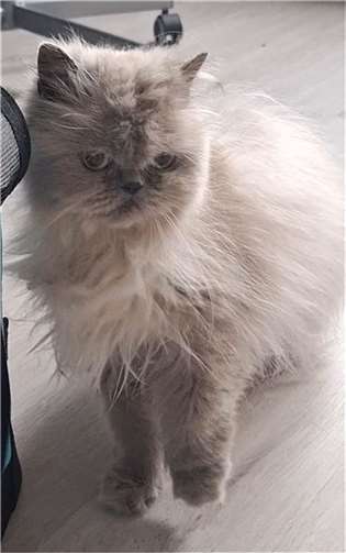 Lotta.  Foto: privat