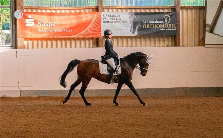 Lou Schumacher auf Aschenputtel.  Foto: privat