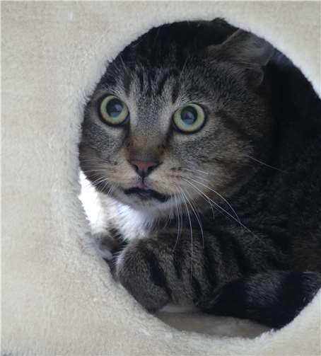 Luca ist noch etwas scheu.