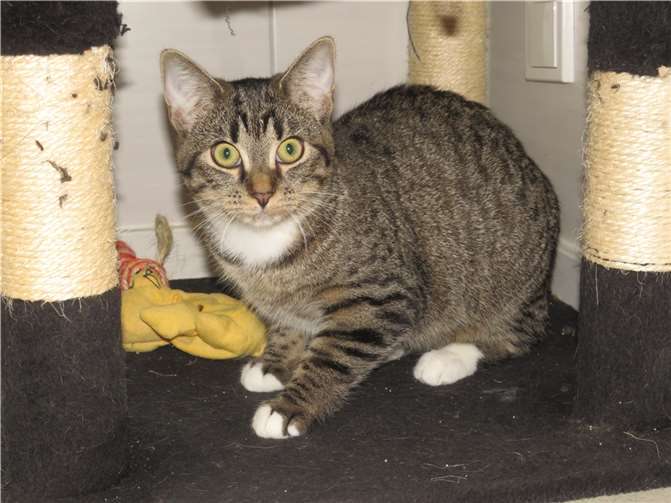 Lucille.  Fotos: privat