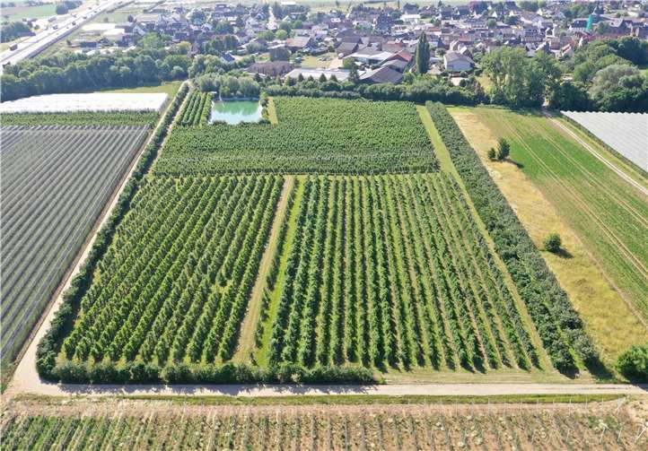 Luftbildaufnahme aus Gelsdorf. Foto: Fotos: BayWa r.e