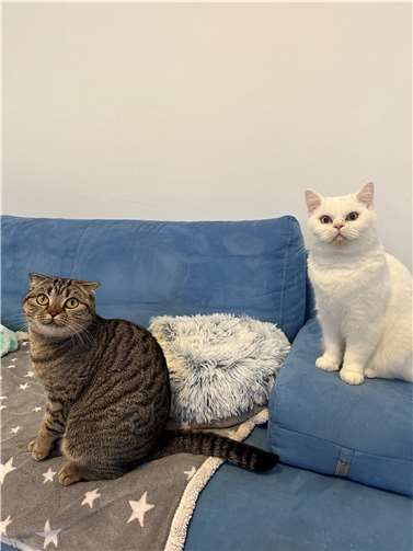 Lumi und Raya. Fotos: privat