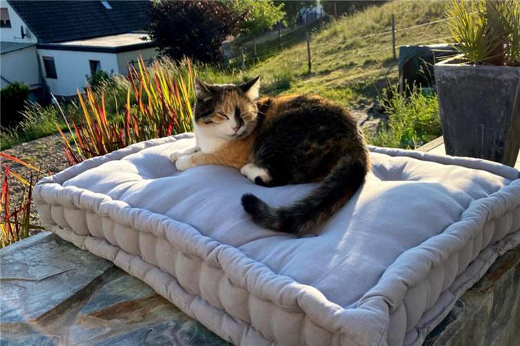 Luna (St. Katharinen). 