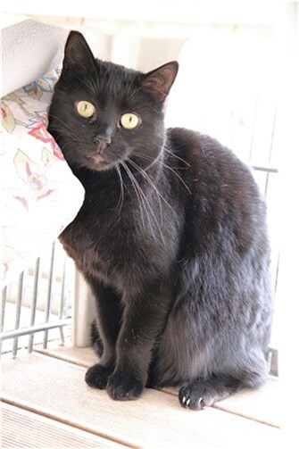 Luzia. Fotos: privat