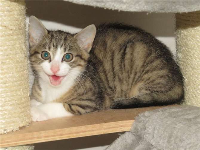 Lysann. Fotos: privat