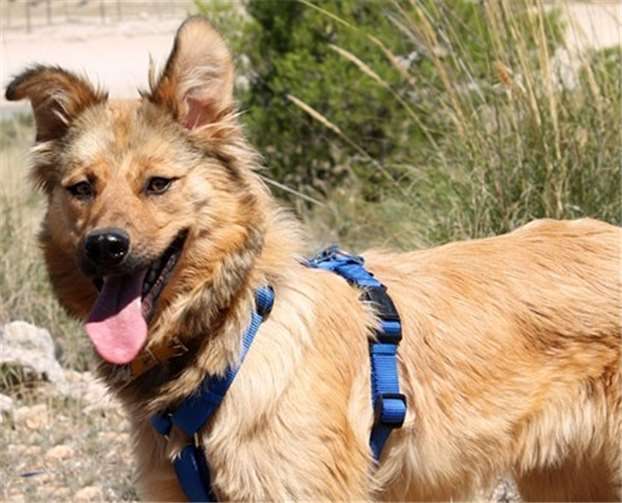 Madalina weiß, dass sie bildhübsch ist.