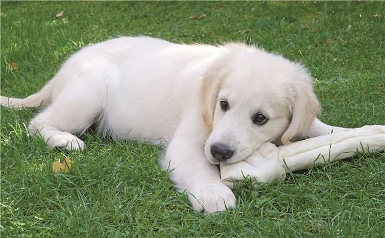 Maddy mischt die Familie auf.EP