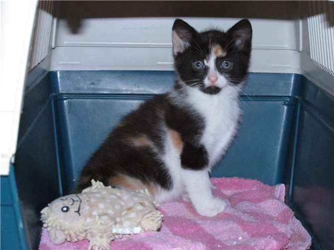 Madeleine. Fotos: privat