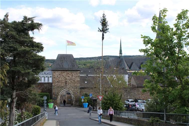 Maibaum der Adenbachhut in Ahrweiler.