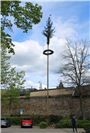 Maibaum der Oberhut in Ahrweiler.