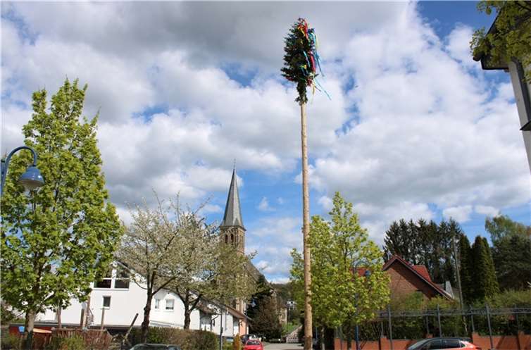 Maibaum in Holzweiler.
