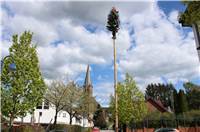 Maibaum in Holzweiler.