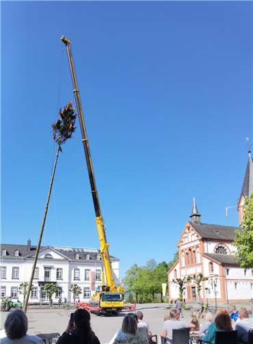 Maibaum mit Kran.  Foto: BL