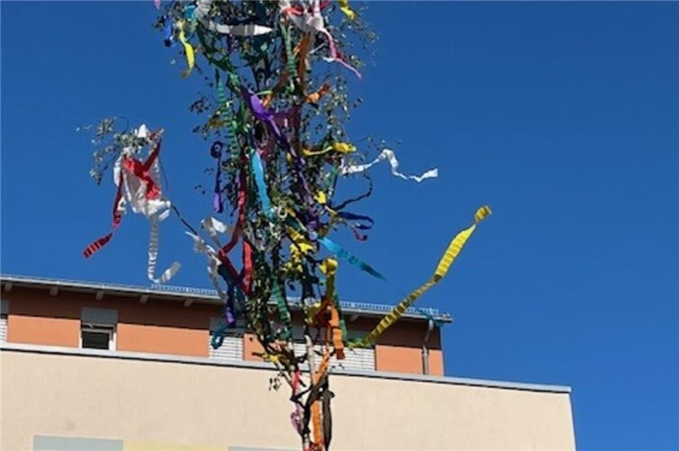 Maibaum vom Johanniter-Stift