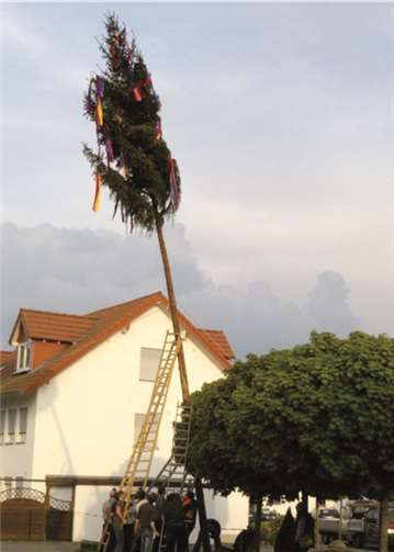 Maibaumaufstellen in Fritzdorf.privat