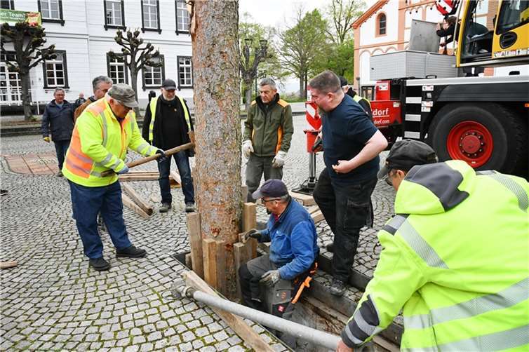 Maibaumstellen der Kernstadt Sinzig.