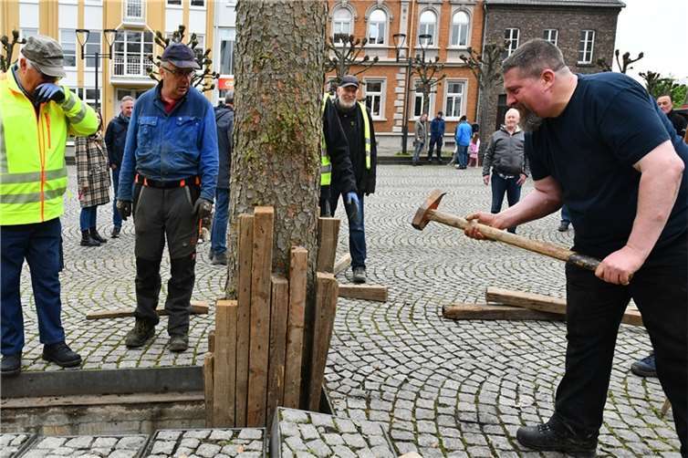 Maibaumstellen der Kernstadt Sinzig.