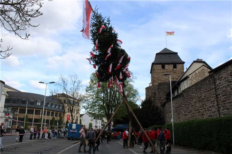 Maibaumstellen der Niederhut in Ahrweiler.