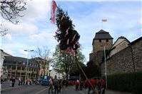 Maibaumstellen der Niederhut in Ahrweiler.