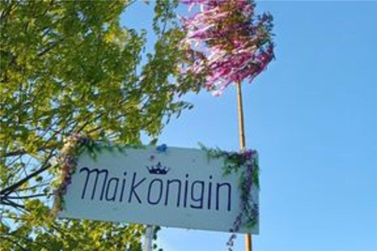 Maikönigsbaum in Niederdrees