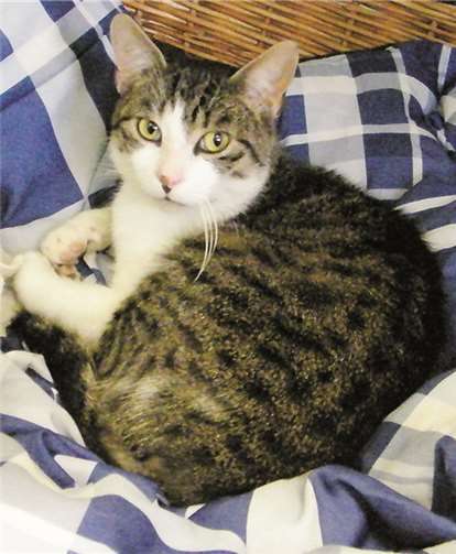 "Major Tom" spielt gerne den Chef. privat