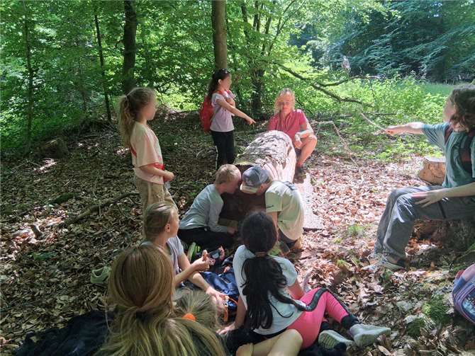 Malen und Wald: Werte entdecken.