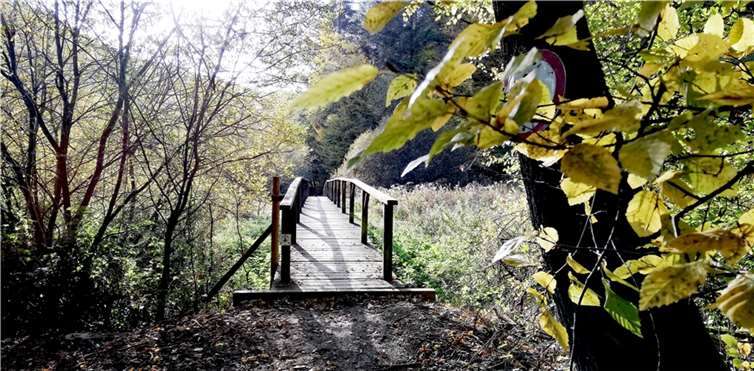 Malerischer geht´s nicht: Das Sahrbachtal ist ein Paradies für Heimat-Entdecker.  Fotos: priva