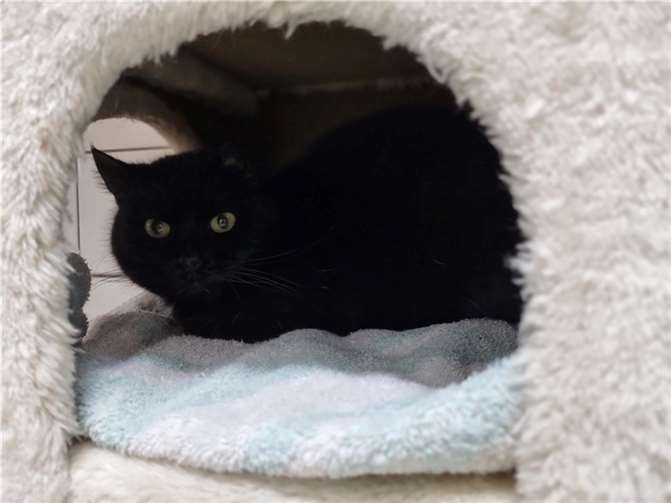 Malou ist auf der Suche nach geduldigen Menschen.  Foto: Sybill Limbach