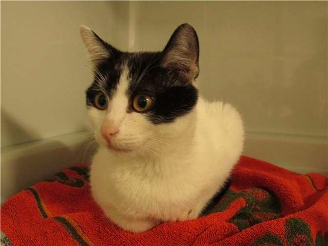 Malvin.Fotos: privat