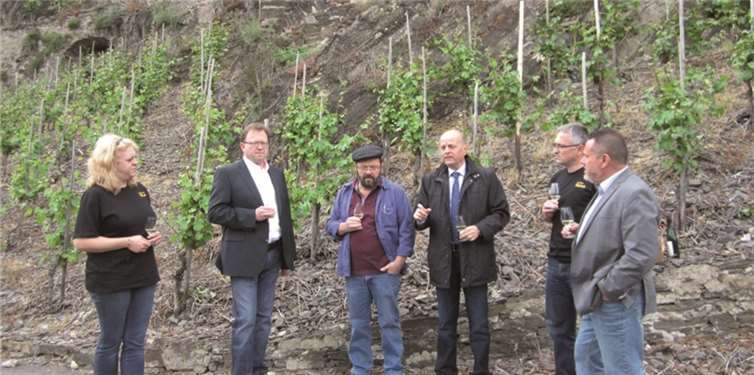 Man informierte sich vor Ort über den Steillagenweinbau im Uhlen. privat