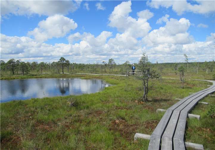 Manfred Brummer teilt seine Eindrücke.