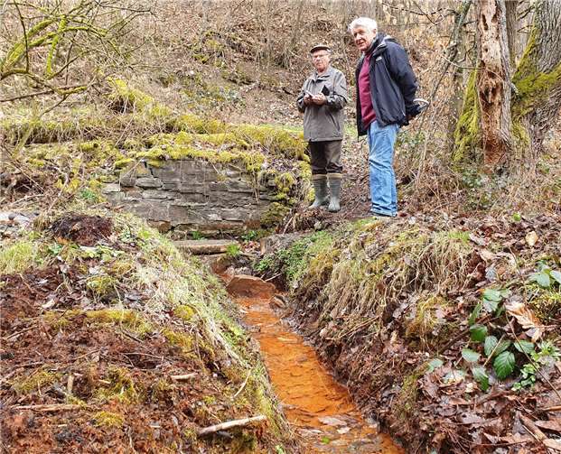 Manfred Konrad und Friedel Bachem haben die alte Quelle freigelegt.