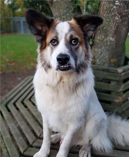 Manni hat ein ganz schönes Sturköpfchen.privat