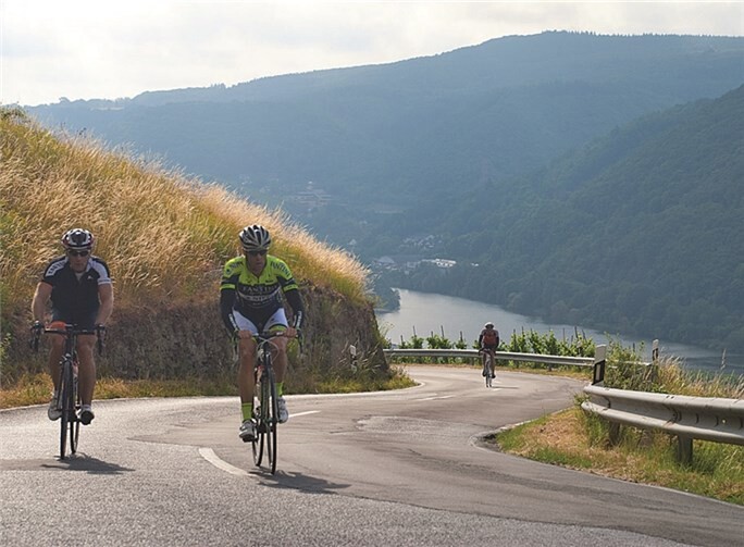 Marathonis inmitten der Weinberge von Pommern auf dem Weg in die Eifel.privat
