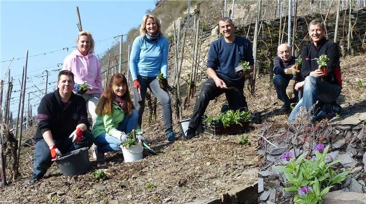 Marco Weinand, Alexandra Dötsch, Monika Mattern, Claudia Uhl, Martin Dötsch, Hans Ramscheid, Michaela Zieger und Michael Dötsch nahmen sich der Bereiche rund um den Halmer Bach an und pflanzten die Flockenblumen, die nun erste Blüten zeigen.Foto: privat