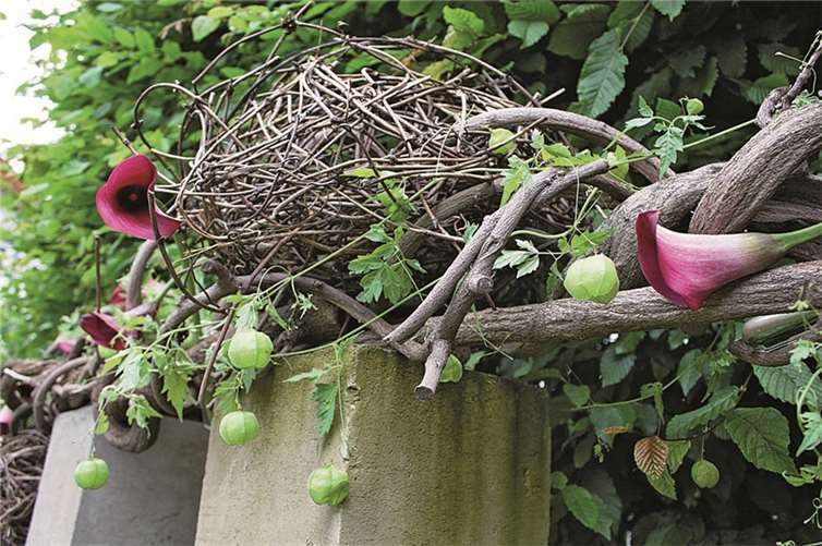 Maria Blum überzeugte mit ungewöhnlichen Blumenarrangements.