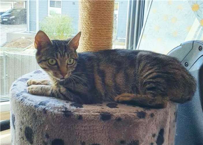 Marie sucht liebe Menschen. Foto: privat