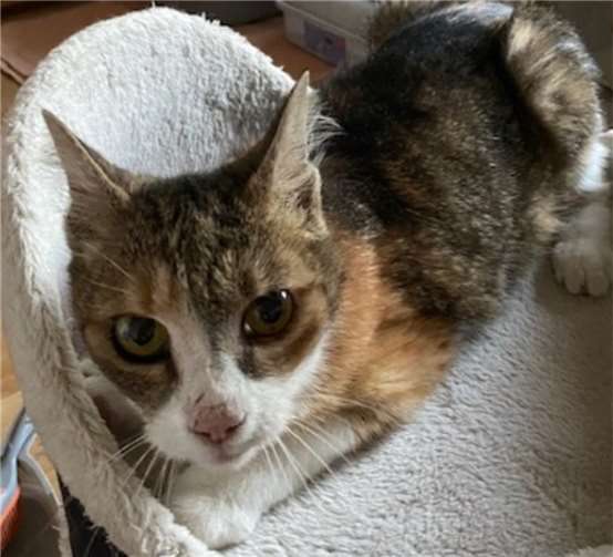 Mariechen hat nicht überlebt.  Foto: privat