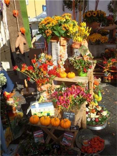Markttage in Neuwied - Herbststimmung in der Deichstadt