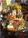 Markttage in Neuwied - Herbststimmung in der Deichstadt