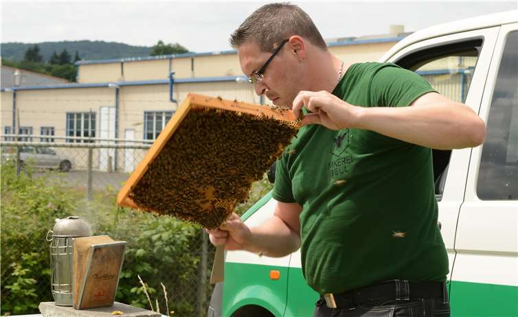 Markus Bell kontrolliert den Bienenbestand.