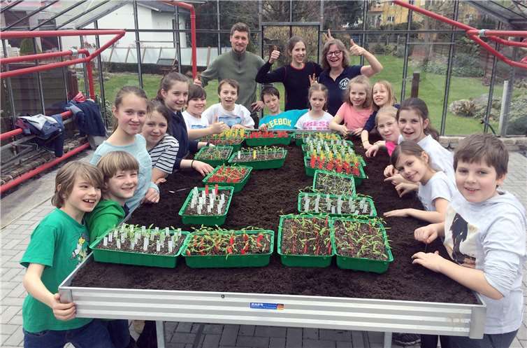 Markus Kroeber, Inhaber der Gärtnerei Rickenbach stellt den Tomaten-AG Teilnehmern ein beheiztes Treibhaus für die Anzucht von 1.000 Pflänzchen zur Verfügung. Die Kinder konnten am 23. Februar im großen Treibhaus aussähen und am 23. März pikieren. Am Dienstag, 1. Mai werden die Pflänzchen am Stand der BUGA-Freunde vor dem Koblenzer Schloss verschenkt.privat