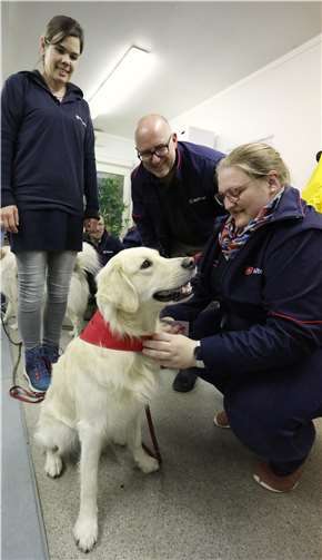 Marlo, der Hund von Dienstleiterin Jeannette Kaufmann, erhält nach bestandener Prüfung sein Halstuch.