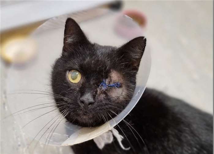 Marlu sucht eine neue Familie. Foto: privat