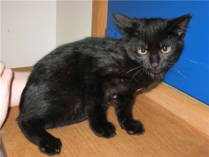 Martin ist noch scheu. privat